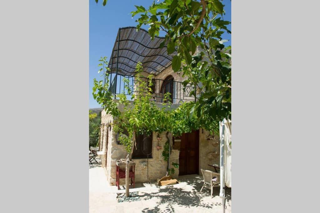 Petite Olive House Villa Sitia  Buitenkant foto